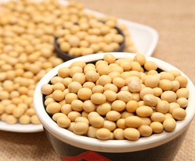 Soybeans (non-gmo) supplier