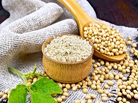 Brazil Soybean supplier of GMO & Non-GMO | Oil, Meal & Flour for Export