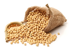 Aurora Soyabeans Exporters