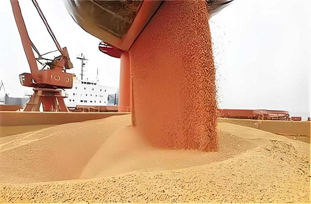 Soybean Supplier & Exporter to Chile
