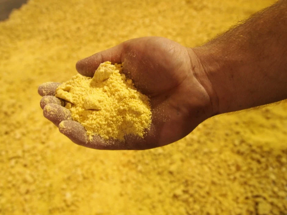 Organic soybean flour Brazil
